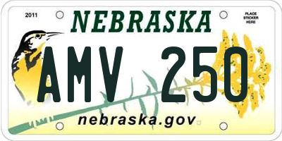 NE license plate AMV250