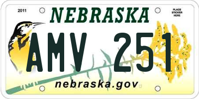 NE license plate AMV251