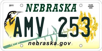 NE license plate AMV253