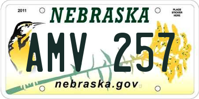 NE license plate AMV257