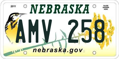 NE license plate AMV258