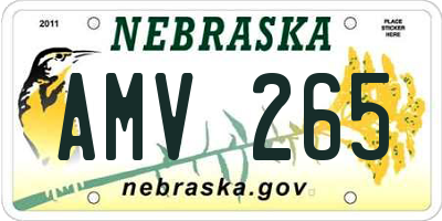 NE license plate AMV265