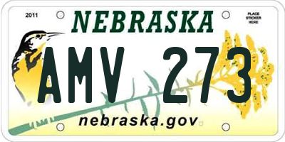 NE license plate AMV273