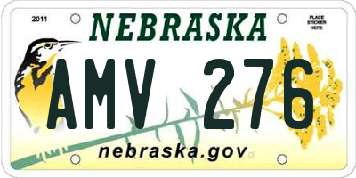 NE license plate AMV276