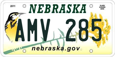 NE license plate AMV285