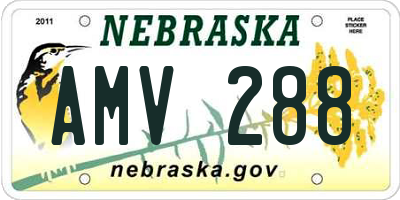 NE license plate AMV288