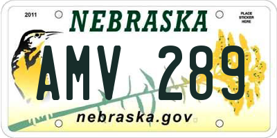 NE license plate AMV289