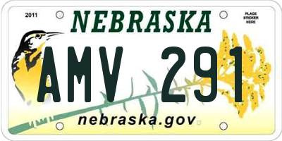 NE license plate AMV291