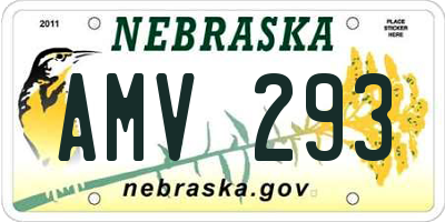 NE license plate AMV293