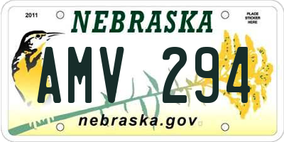 NE license plate AMV294