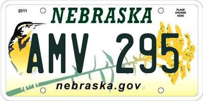 NE license plate AMV295