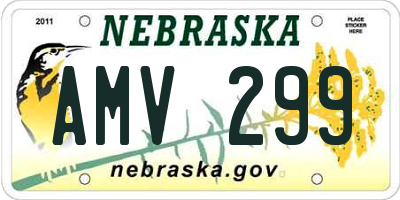 NE license plate AMV299