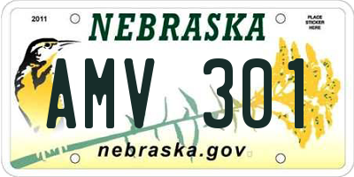 NE license plate AMV301