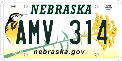 NE license plate AMV314