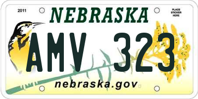 NE license plate AMV323