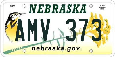 NE license plate AMV373