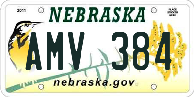 NE license plate AMV384