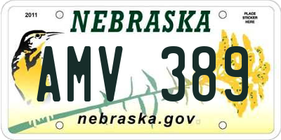 NE license plate AMV389