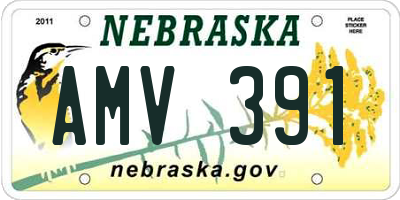 NE license plate AMV391