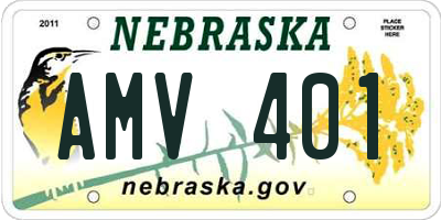 NE license plate AMV401