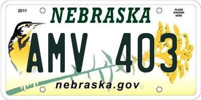 NE license plate AMV403