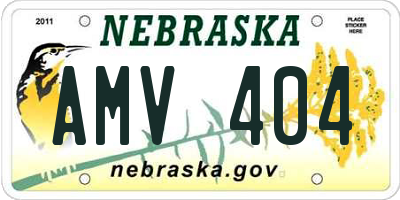NE license plate AMV404