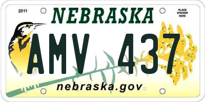 NE license plate AMV437