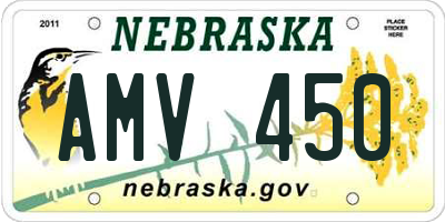 NE license plate AMV450