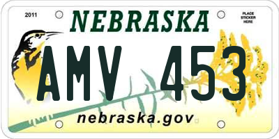 NE license plate AMV453