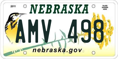 NE license plate AMV498