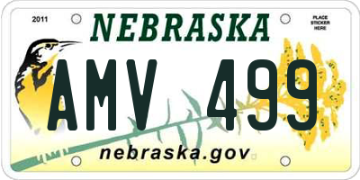 NE license plate AMV499
