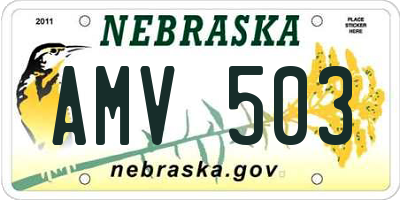 NE license plate AMV503