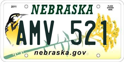NE license plate AMV521