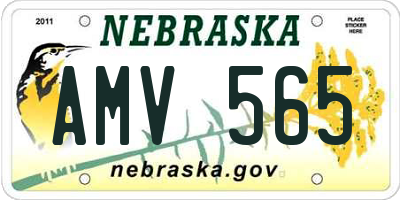 NE license plate AMV565
