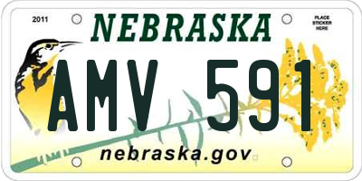 NE license plate AMV591