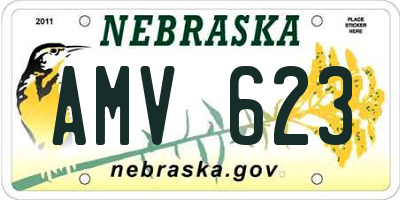 NE license plate AMV623