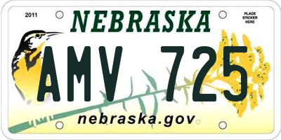 NE license plate AMV725