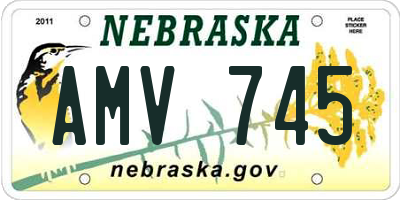 NE license plate AMV745