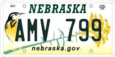 NE license plate AMV799