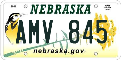 NE license plate AMV845