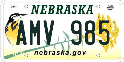 NE license plate AMV985