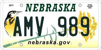 NE license plate AMV989