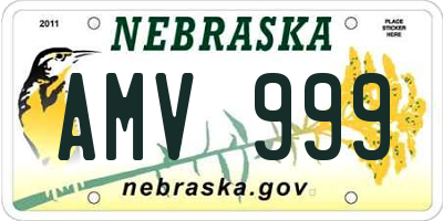 NE license plate AMV999