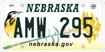NE license plate AMW295