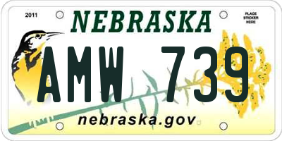 NE license plate AMW739