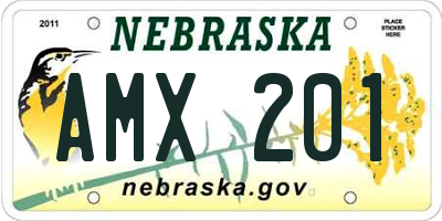 NE license plate AMX201