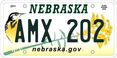NE license plate AMX202