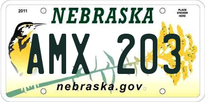 NE license plate AMX203
