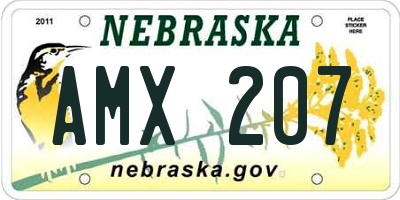 NE license plate AMX207