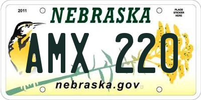 NE license plate AMX220